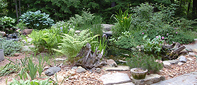 Koi Ponds and Water Gardens