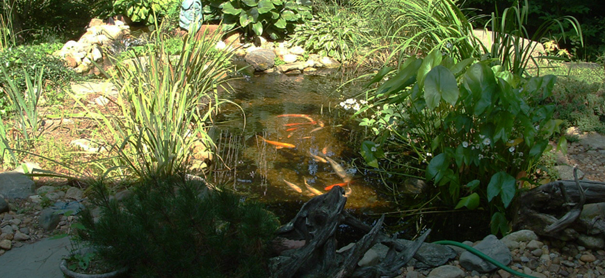 Koi Pond Landscaping
