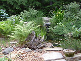 Koi Ponds